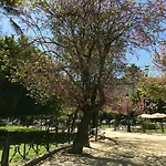 El Patio *
